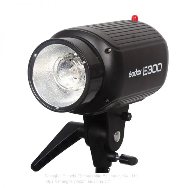 Godox E Series 300W Studio Flash for Photography(250WS Professional Studio Flash Light) photo-3
