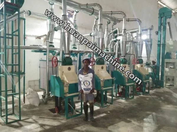 30-35TPD Maize Flour Mill / Low Price Flour Mill Plant / Corn Mill Grinder