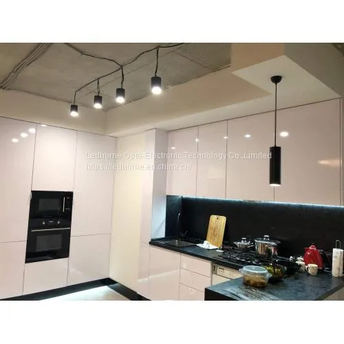 7W 10W 15W Hanging Mounted COB LED Spot Downlight photo-4