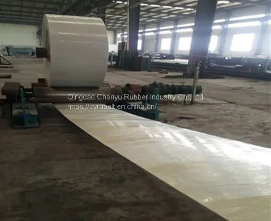 Food Grade White Conveyor Belt photo-4