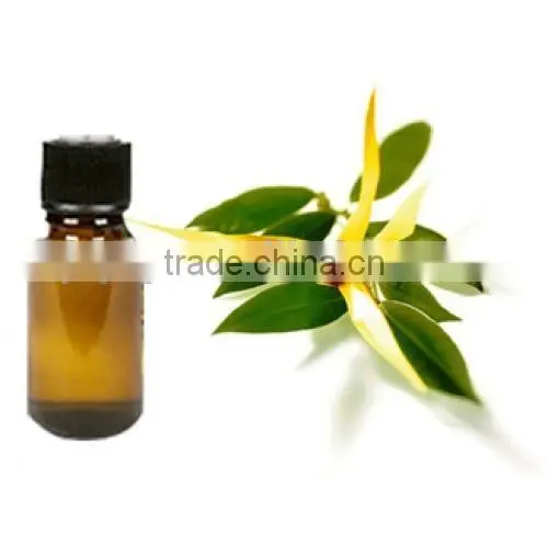 Patchouli Perfume Oil for Patchouli Oil Importers