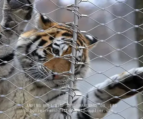 Stainless Steel Safety Mesh Ss304 Ss316 Stainless Steel Rope Mesh/Zoo Safety Mesh Fenc,Animal Safety Fence Mesh photo-2