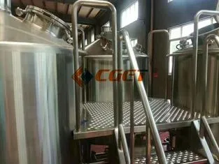 Professional Home Beer Brewing Equipment Energy Saving 100L 200L 300L 500L photo-2