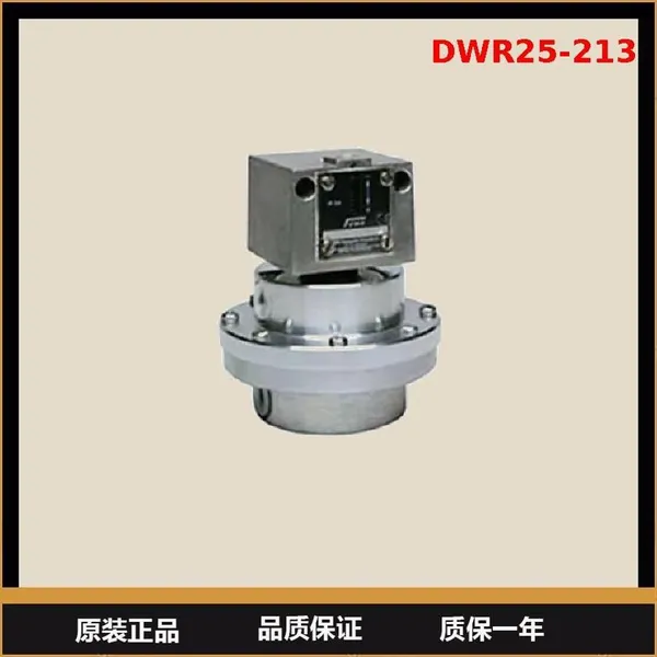 German FEMA Pressure Switch DWR25-213