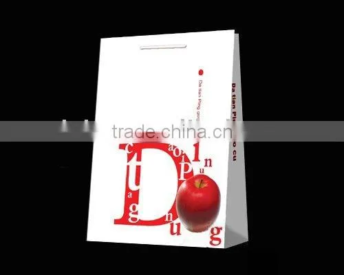 Paper Shopping Bag