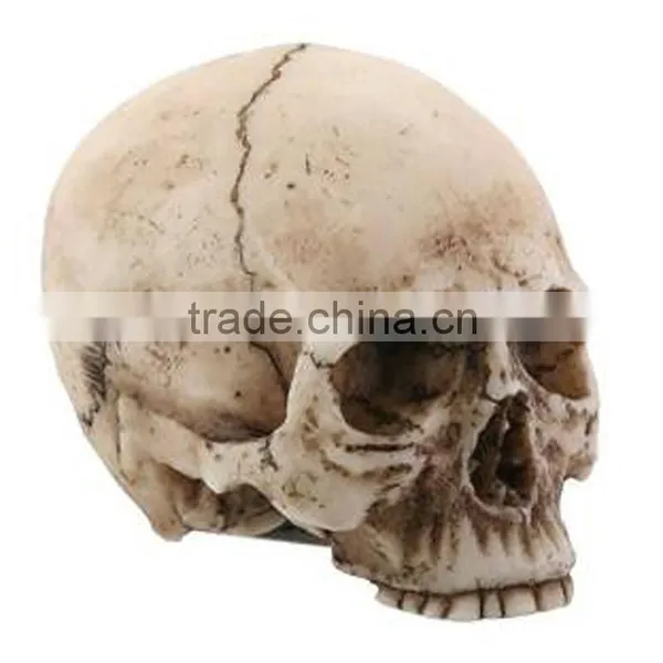Halloween Party Decoration Resin Skull Heads photo-2