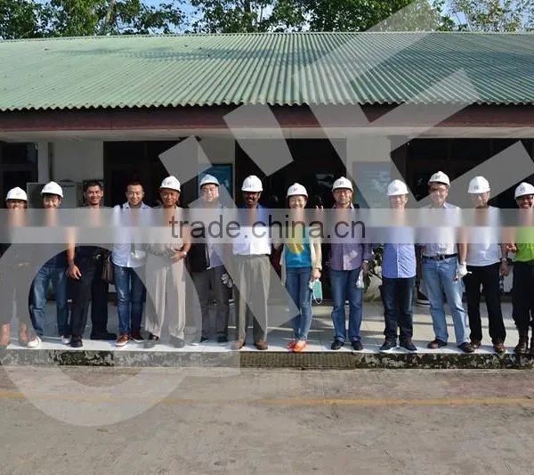 Oil Factory Equipments for Palm Oil/oil Making Machinery/palm Oil Refining photo-5
