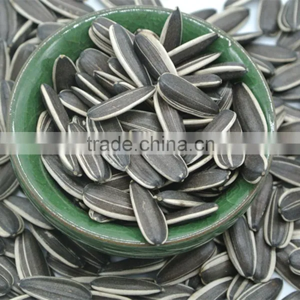 Chinese Black Sunflower Seeds Type 5009 , Hot Sale!! photo-2