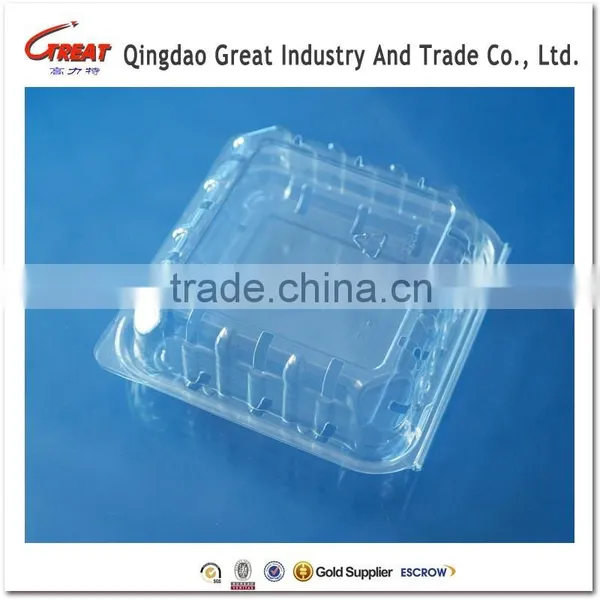 Clamshell Blister Plastic Blueberry Packaging Container 125 Gram photo-4