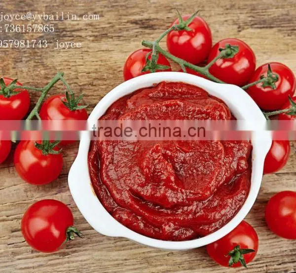 Canned Tomato Paste Factory,high Quality,low Price photo-2