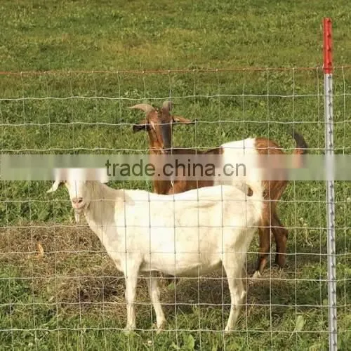 2016 Hot Sale Made in China Cattle/goat/ranch Fence photo-5