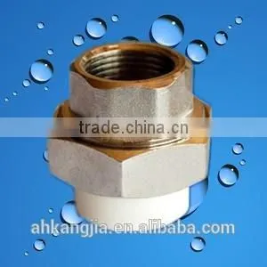 Plastic PB Male Union With Brass photo-2