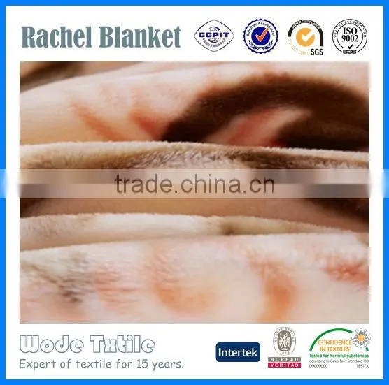 2016 China Manufacture Heavy Polyester Blanket photo-4