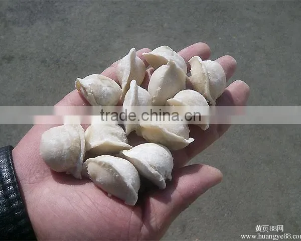 Electric Mini Dumpling Machine /automatic Electric Mini Dumpling Machine photo-5