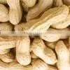 Raw Peanuts in Shell/Groundnuts in Shell for Sell photo-2