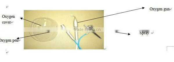 2 in 1 Needle-free Mesotherapy&Oxygen Jet Machine/Oxygen Input Machine photo-2