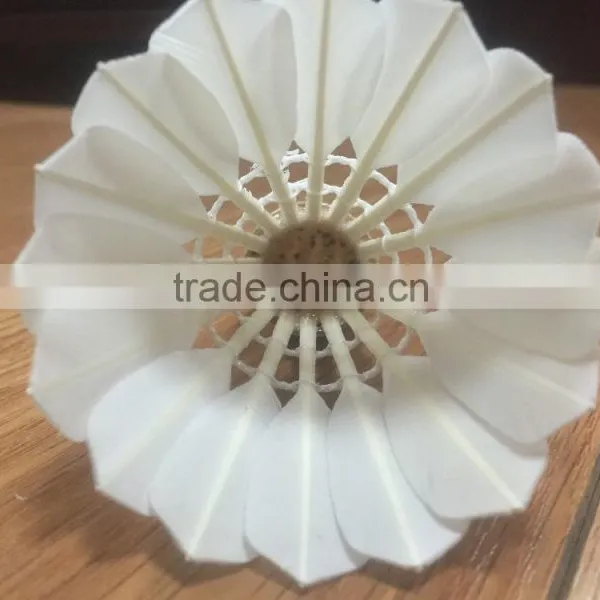 Topest Quality RCL No.1 A Class Goose Feather Badminton Shuttlecock for International Tournament photo-3
