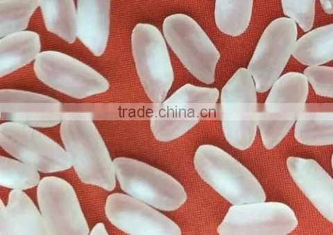 MEDIUM GRAIN RICE- Sales4@ Vinarice.vn - +84 918205076 photo-3