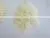 TAPIOCA/CASSAVA POWDER photo-2