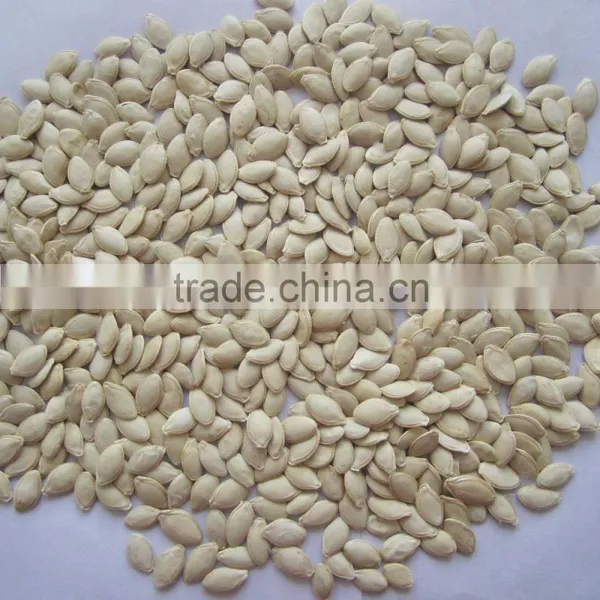 Dried Snow White Pumpkin Seeds Lady Nail Pumpkin Seeds photo-4