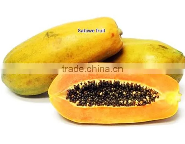 Vietnam HACCP/ISO/HALAL Soft Dried Magon Fruit photo-3
