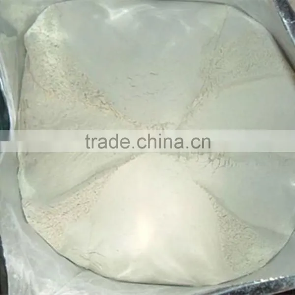China Top 8 Manufacturer White Garlic Poeder in Grade A Quality for UK, Israel Market photo-2