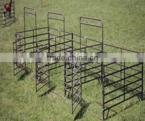 Horse Panels Fence be Used in Animal photo-5