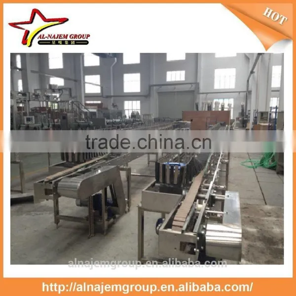 Inverse PET Bottle Conveyor System With Sterilizing Chain photo-4