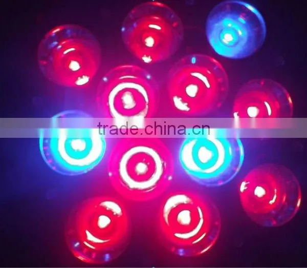 Red Blue Par38 Led Grow Light Bulb 12W photo-3