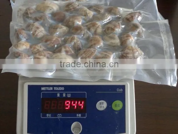 Frozen Vacuum Packed Cooked Short Necked Clam photo-2