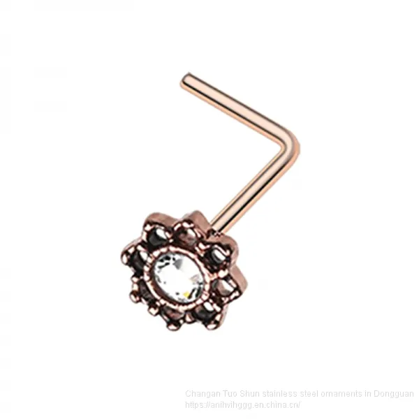 New Hot Money Puncture Stainless Steel Insert Drill Nail, Foreign Trade Jewelry Earrings, Titanium Steel Nose Ring Manufacturer Wholesale photo-2