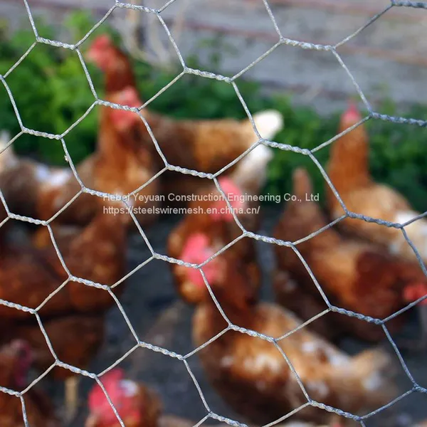Hexagonal Wire Mesh Hexagonal Mesh Hexagonal Gabion Box Chicken Egg Layer Cages photo-3