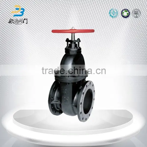 What Is Gate Valve Body 300Lb photo-6