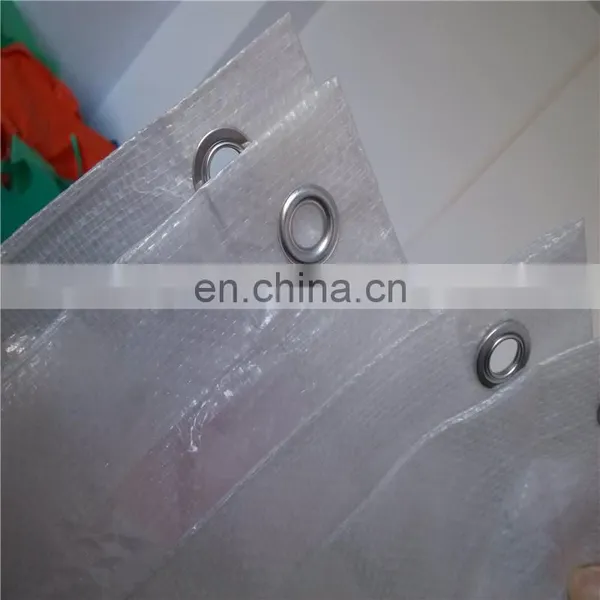 Heavy Duty Clear Greenhouse Grow Cover Plastic Transparent PE Waterproof Tarpaulin Cloth photo-3