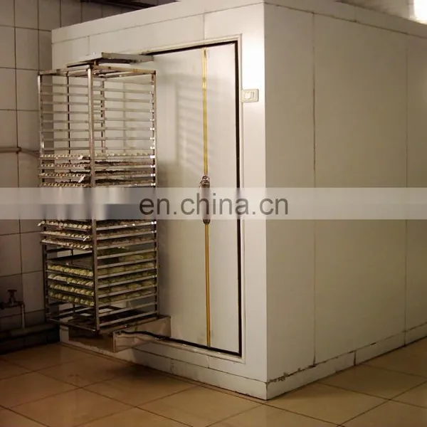Shanghai Factory Genyond Industrial Quick Freezer Equipment Machine Freezing Room Chamber for Ice Cream photo-5