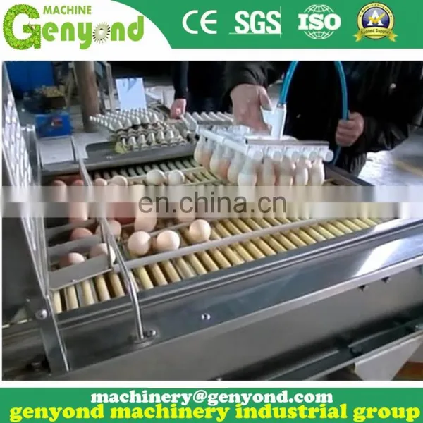 Brand New Automatic Egg Sorting Machine photo-3