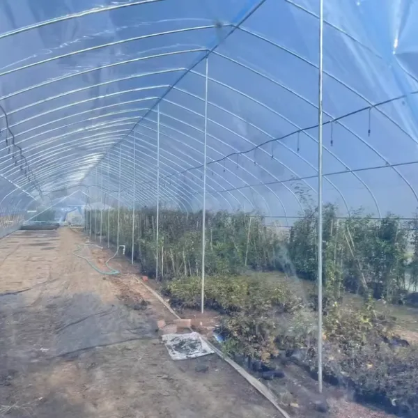 4MIL Agriculture Plastic Greenhouse PE PO Film Clear Greenhouse Cover photo-3