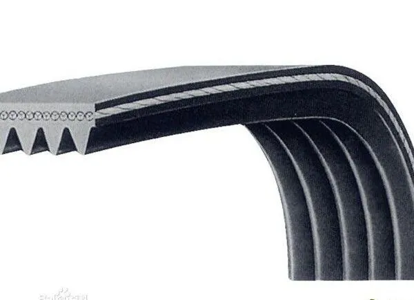 Automobile Engine Multi Wedge Belt 3PK590 4PK775 5PK960 Generator Drive Belt 6PK1140 Oil Pump Multi Groove Belt 8PK1320 Price: $44/piece photo-3