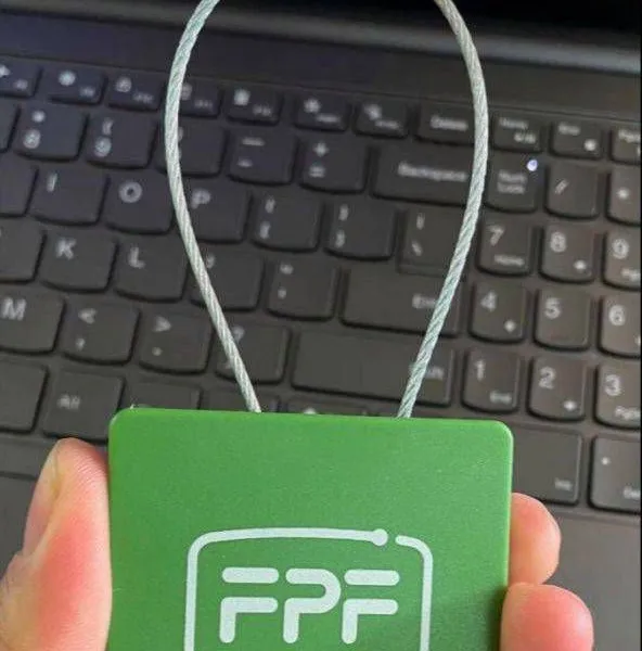 Rfid Cable Tie Electronic Tags, Nfc Lead Seals, Intelligent Inspection of Fire - Fighting Equipment, Anti - Metal Tags photo-2