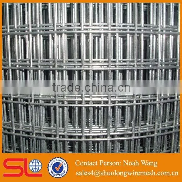 (Factory Direct) High Quality Galvanized and Green Pvc Coated 4x4 Welded Wire Mesh Fence photo-4