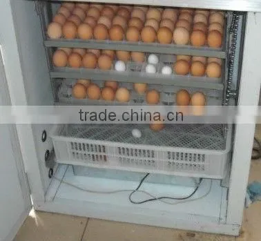 Mini Egg Incubator