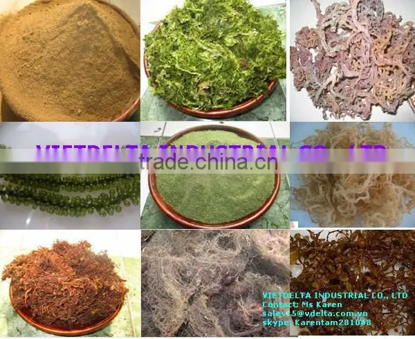 DRIED SEAWEED