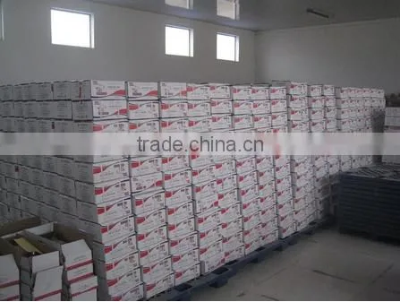 Swelling Powder Form Dried Instant and Fast Active Bakery Yeast photo-5