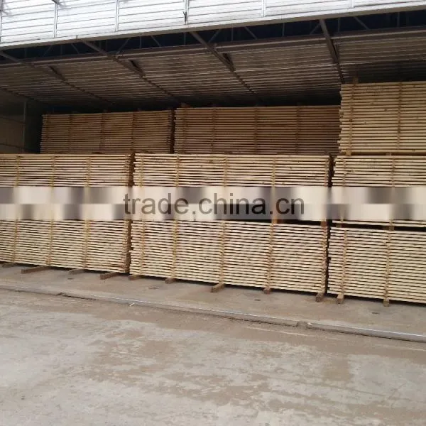 Germany Joint Venture Wood Drying Oven, Wood Drying Camera, Drying Room photo-2