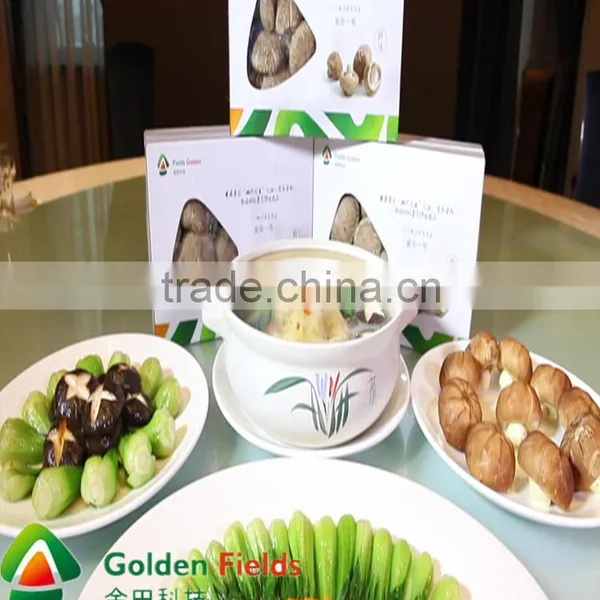 Made in China Popular Chaga Mushroom Extract Powder photo-3