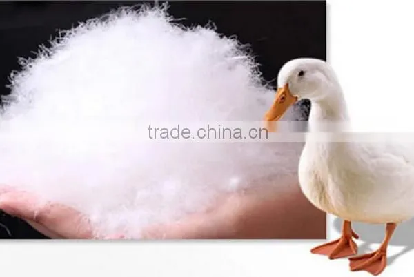Wholesale Eco-friendly White Duck Down