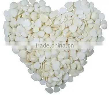 Blanched Apricot Kernels photo-4