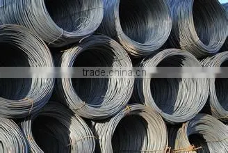 Wire Rod Li Xiaoxi photo-2