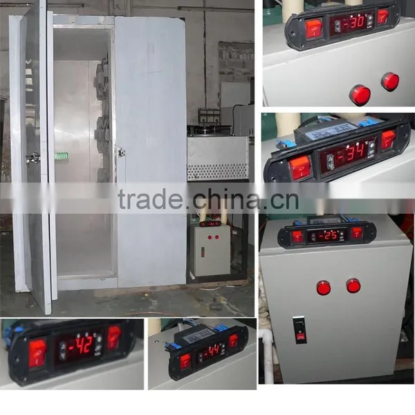 Instant Freezer for 300kg Strawberry Freezing photo-4
