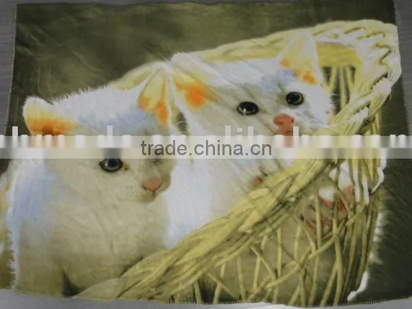 Polar Fleece Blanket